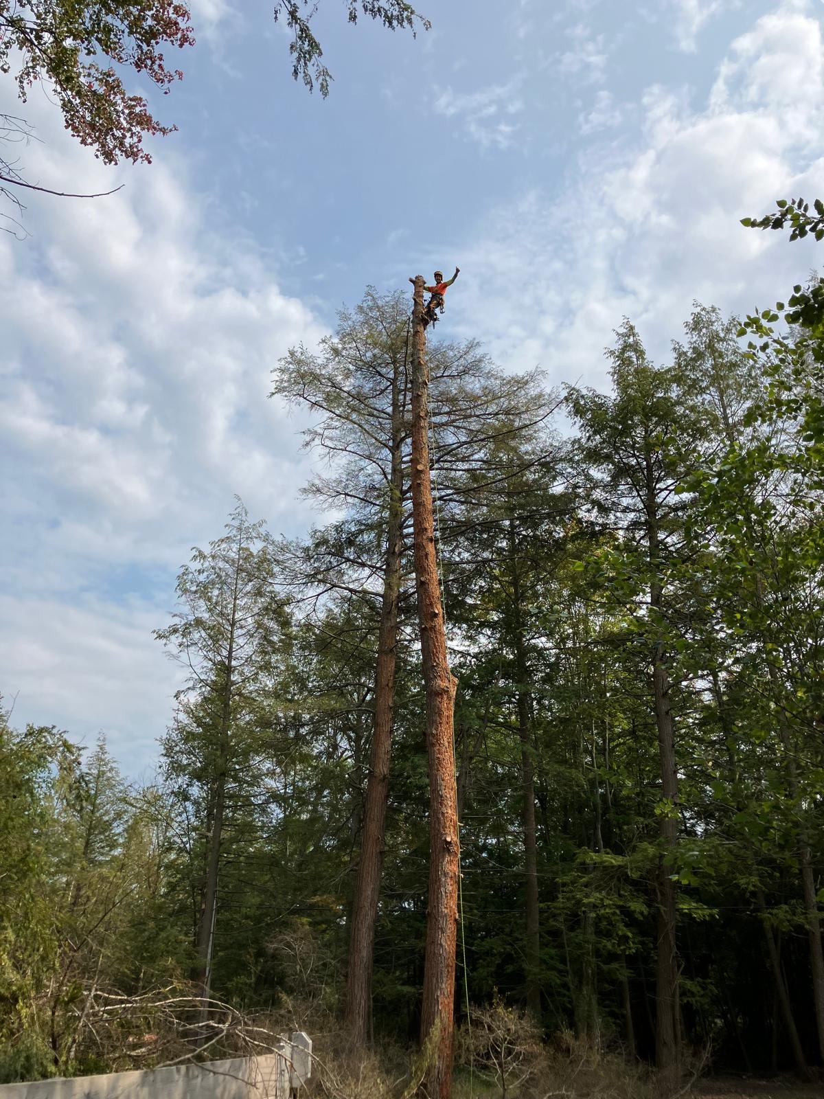 334B34D9-E063-4A0B-B334-7798453BFCAA