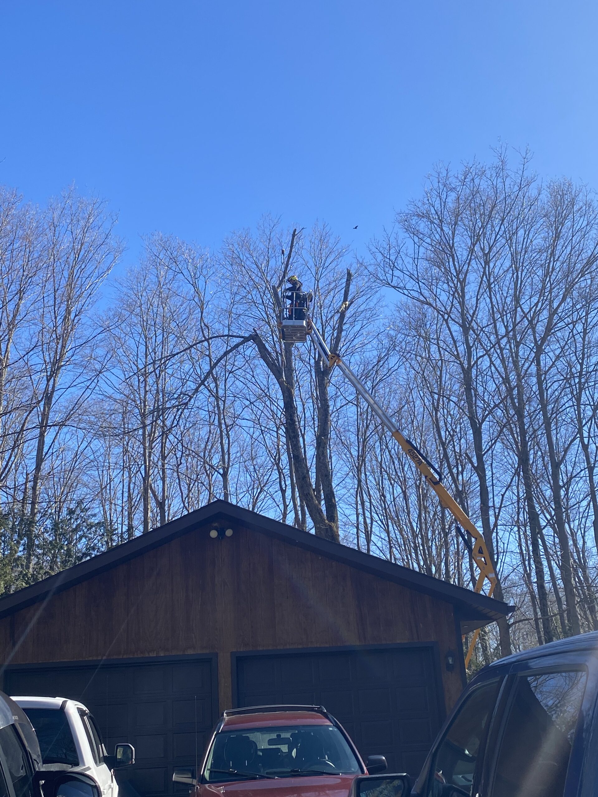 376666C8-EE3B-4D0C-B2D8-80F73FA1C767