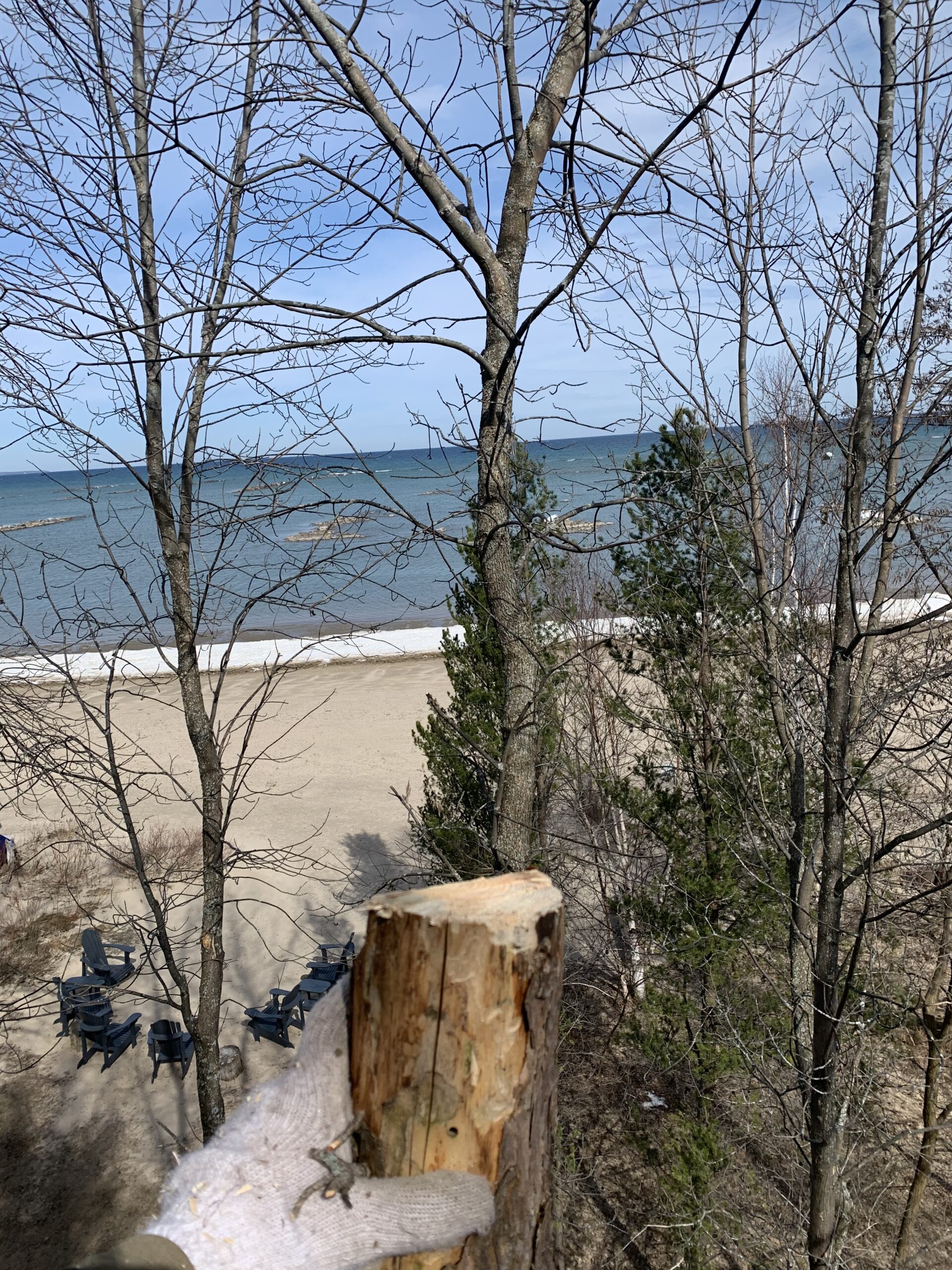 64DD8E26-75FF-4504-8169-FCBAF7ED9D8D