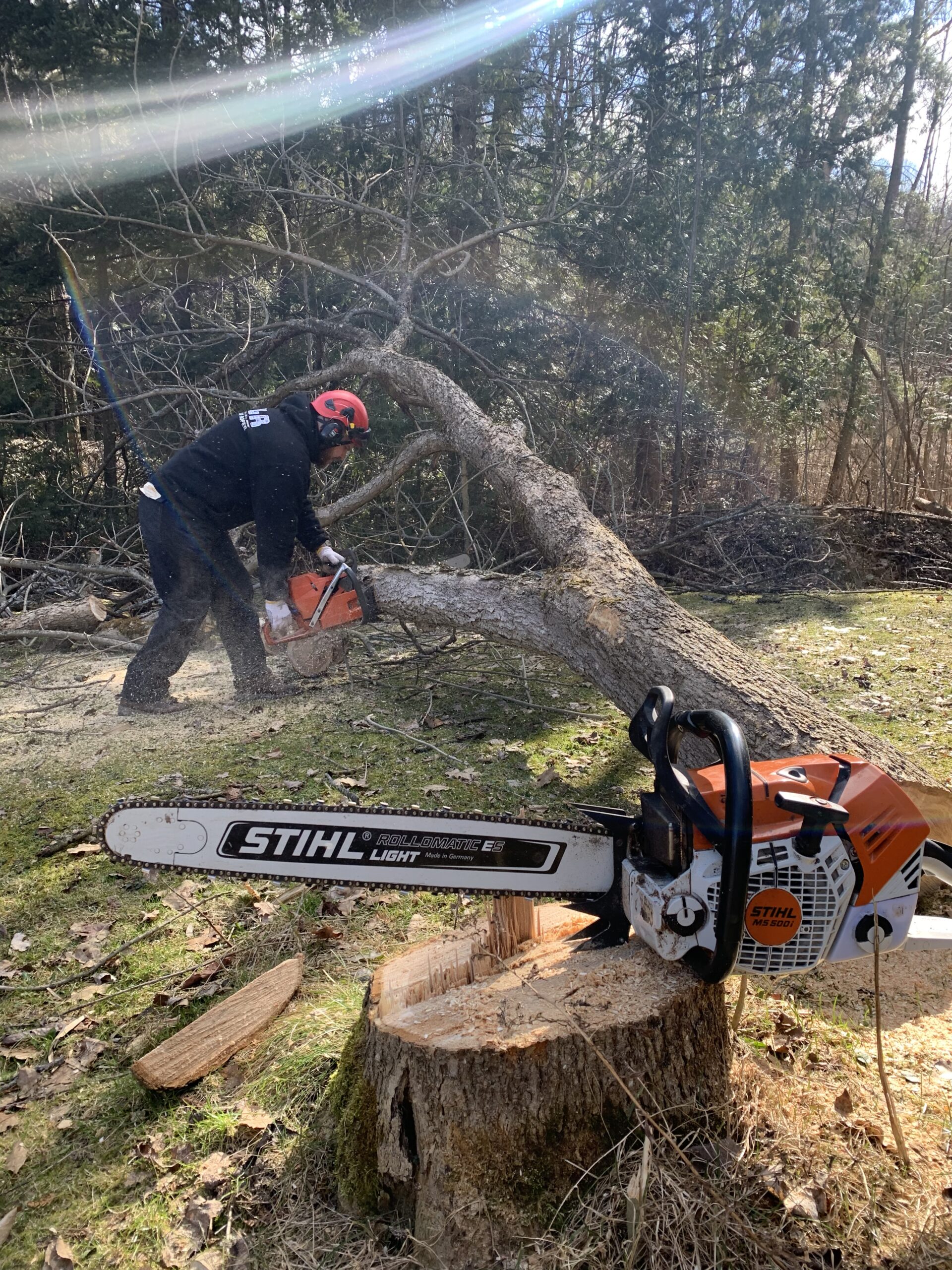 76135094-B7C7-455A-A5C8-A6F6717B3CF7