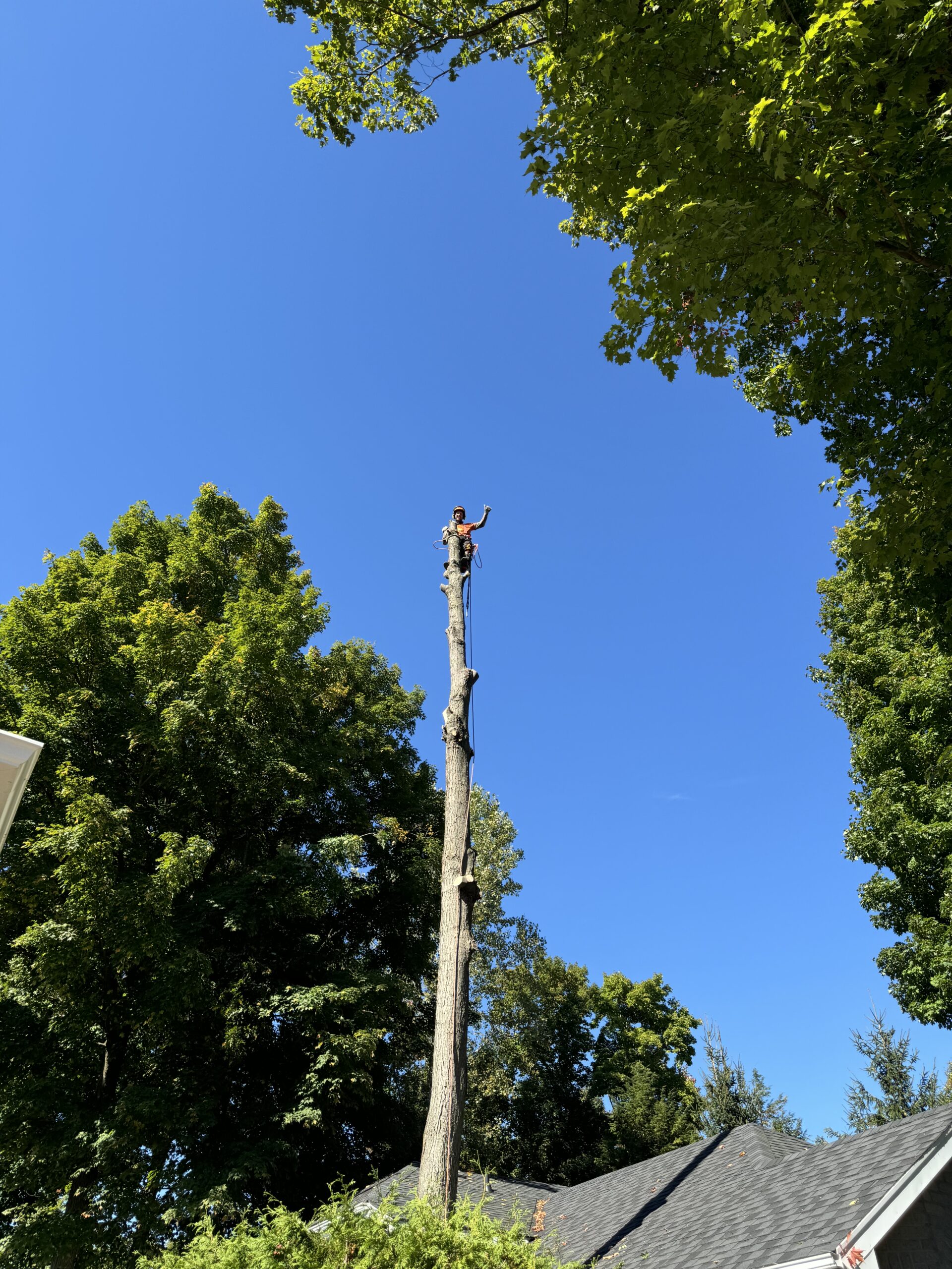 9F4D31F1-2273-4EFC-AC0D-EA2BC29B2DFA