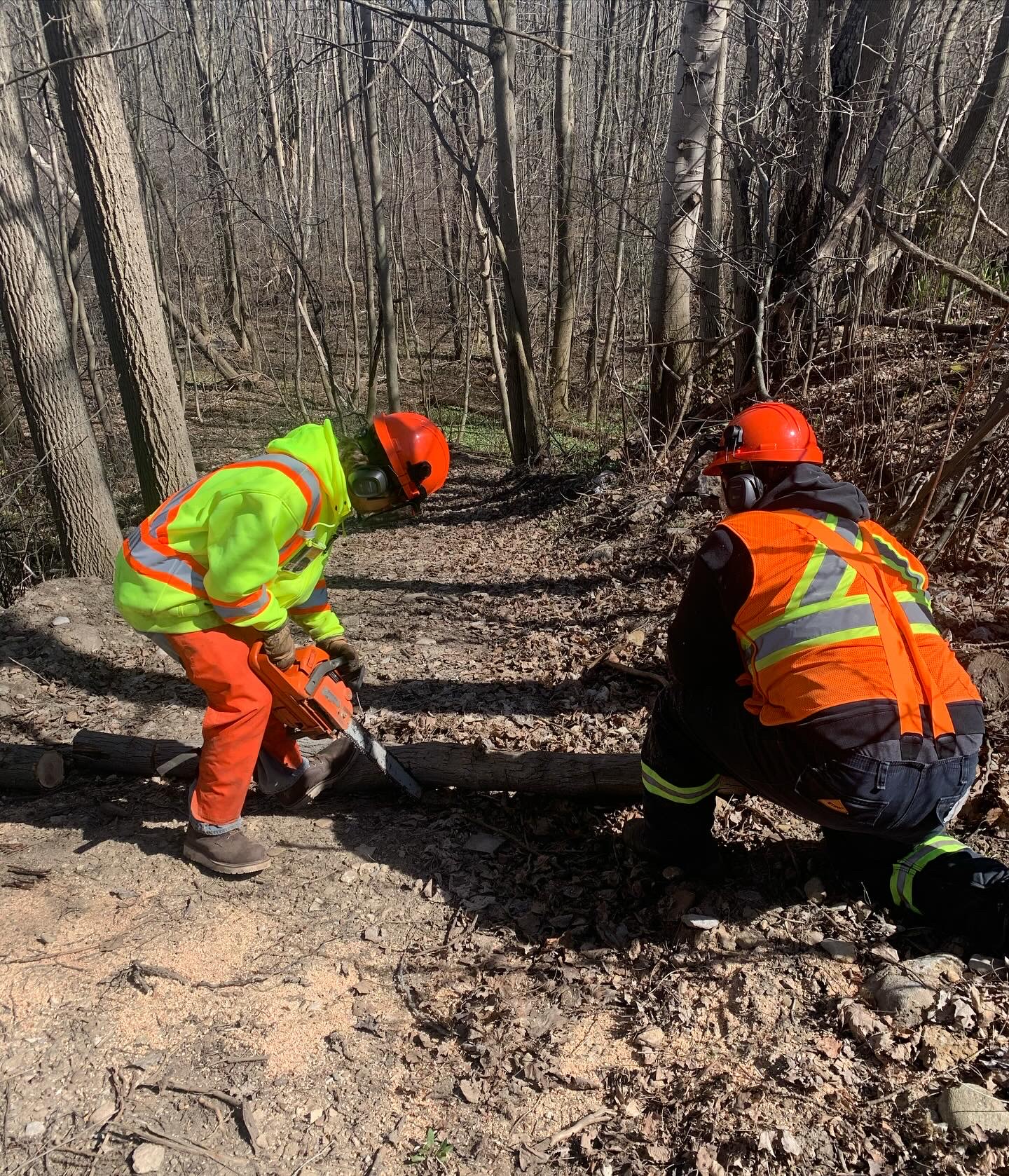 C8B38449-8DF3-4E9F-8B43-F6569488C55D